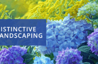 Morgans-Brook-Landscaping-HEADER