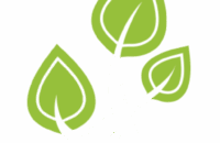 cropped-logov5.png