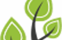 cropped-site-logo.png