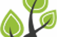site logo