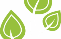 site logo v3