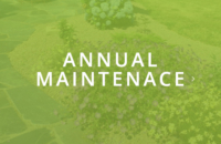 maintenace